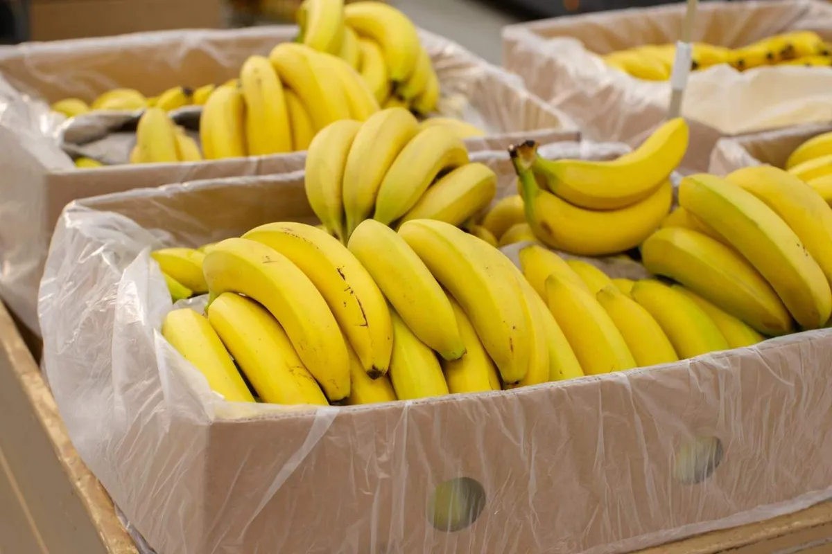Bananen langer vers houden: slimme bewaartechnieken